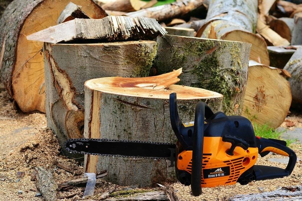 Pourquoi l'élagage à Tarbes est essentiel pour l'entretien des arbres ?